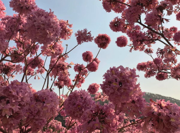 照片來源：小紅書@旅小欣