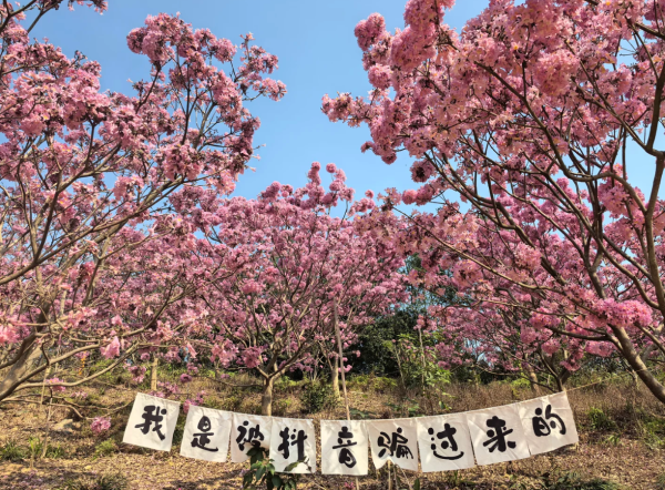 照片來源：小紅書@旅小欣