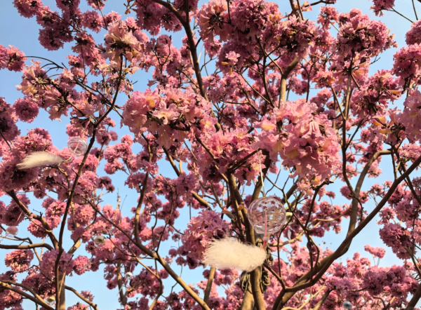 照片來源：小紅書@旅小欣