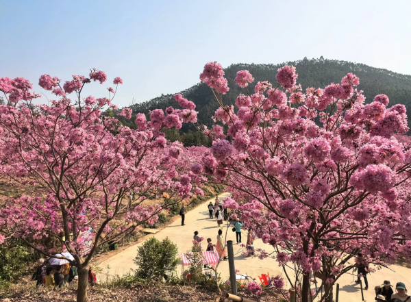 照片來源：小紅書@旅小欣