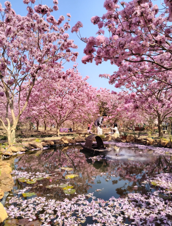 照片來源：小紅書@小世界與雙子星