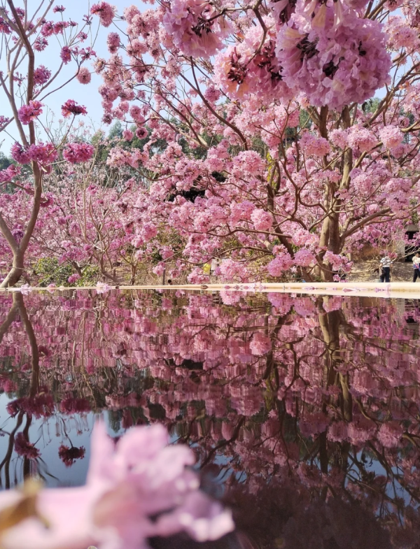 照片來源：小紅書@小世界與雙子星