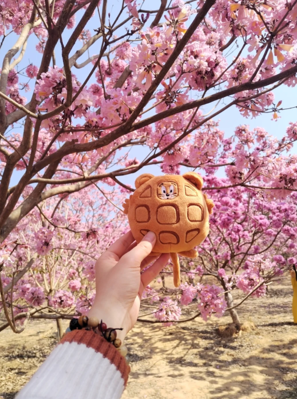 照片來源：小紅書@小世界與雙子星