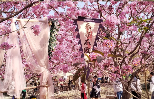 照片來源：小紅書@小世界與雙子星