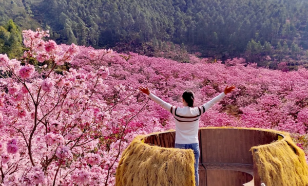 照片來源：小紅書@小世界與雙子星