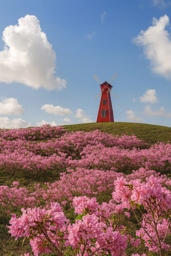 照片來源：小紅書@Gx