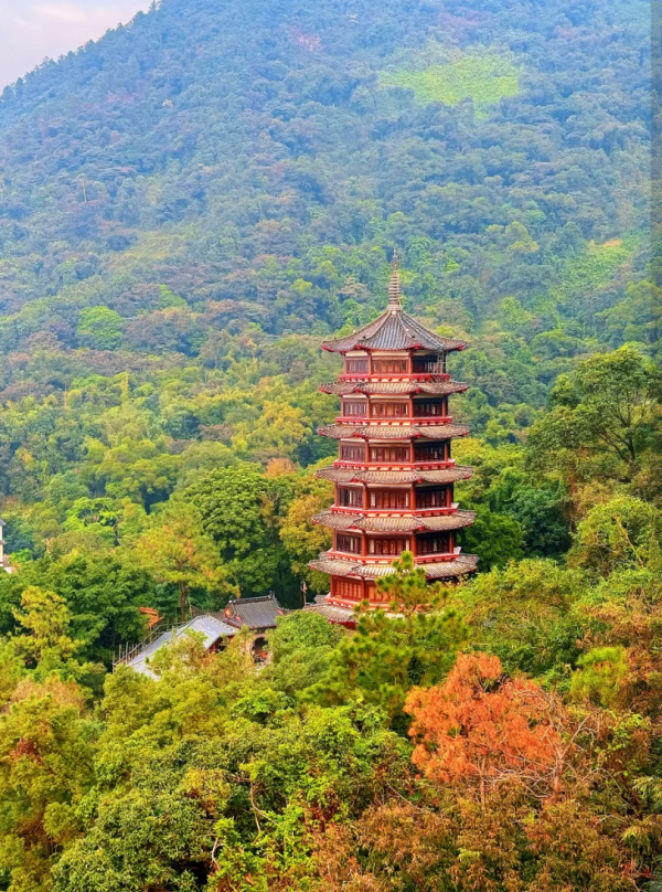 照片來源：小紅書@待富青年