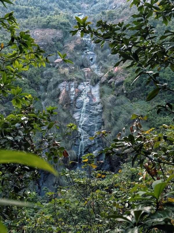 照片來源：小紅書@菜菜Cherry