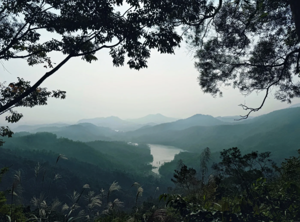 照片來源：小紅書@菜菜Cherry