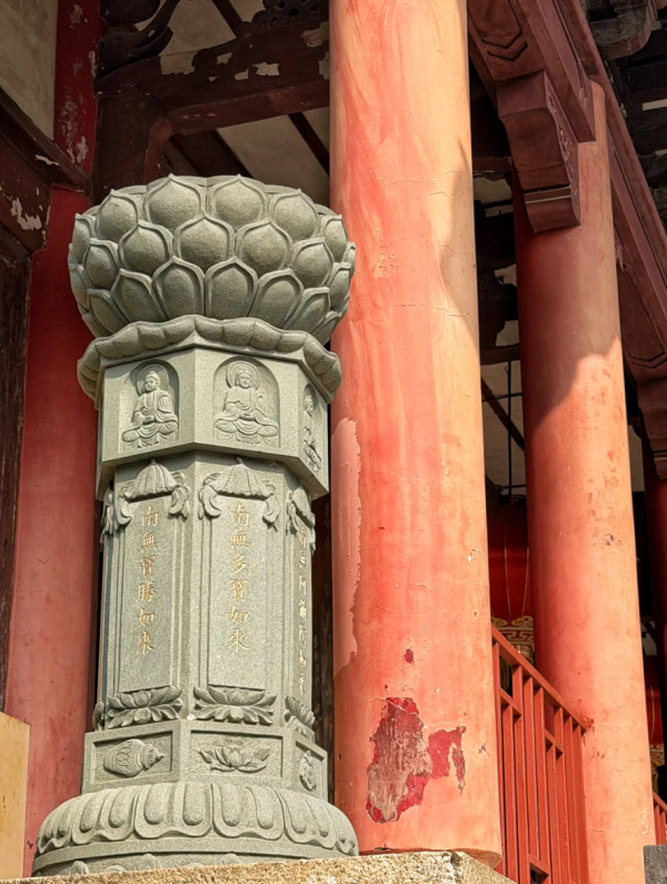 照片來源：小紅書@菜菜Cherry