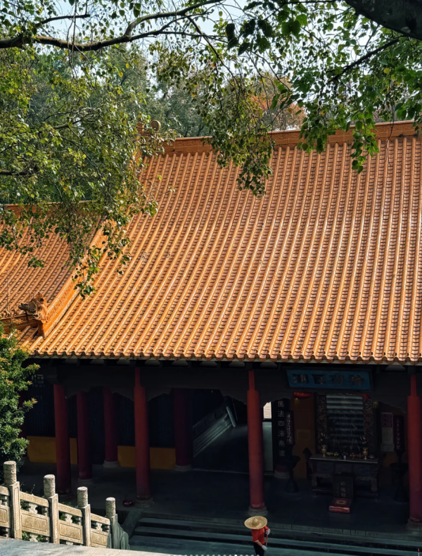 照片來源：小紅書@菜菜Cherry