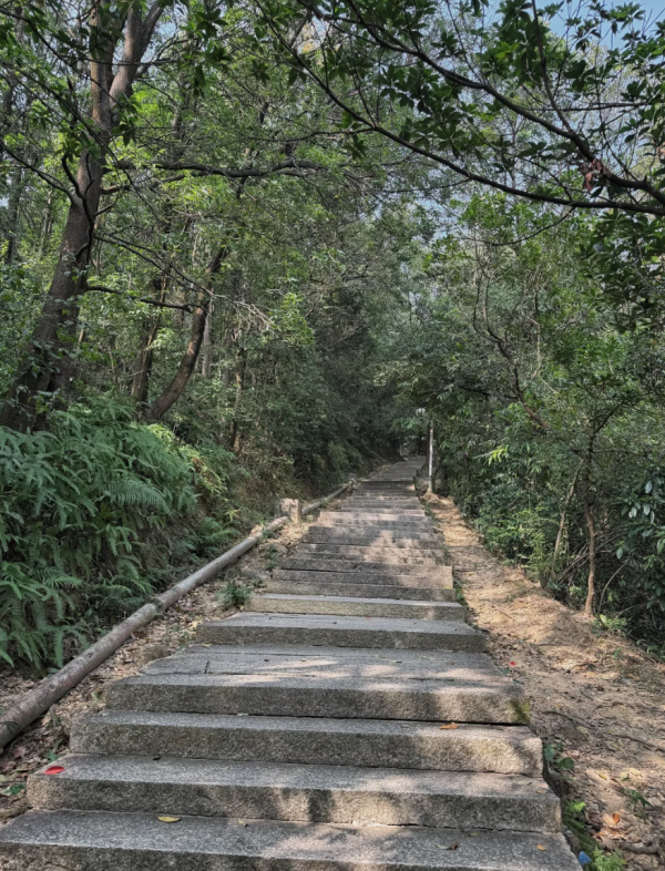 照片來源：小紅書@菜菜Cherry