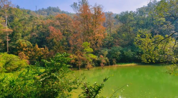 照片來源：小紅書@Mrs.Wang