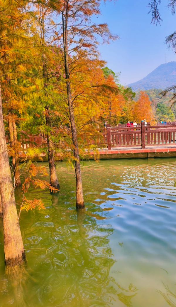 照片來源：小紅書@Mrs.Wang