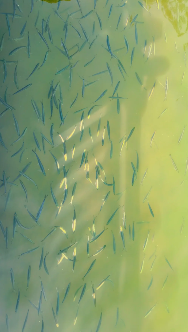 照片來源：小紅書@Mrs.Wang