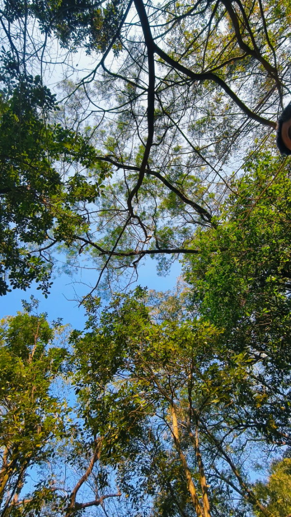 照片來源：小紅書@Mrs.Wang