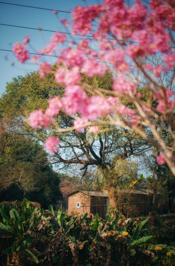 照片來源：小紅書@周朝先