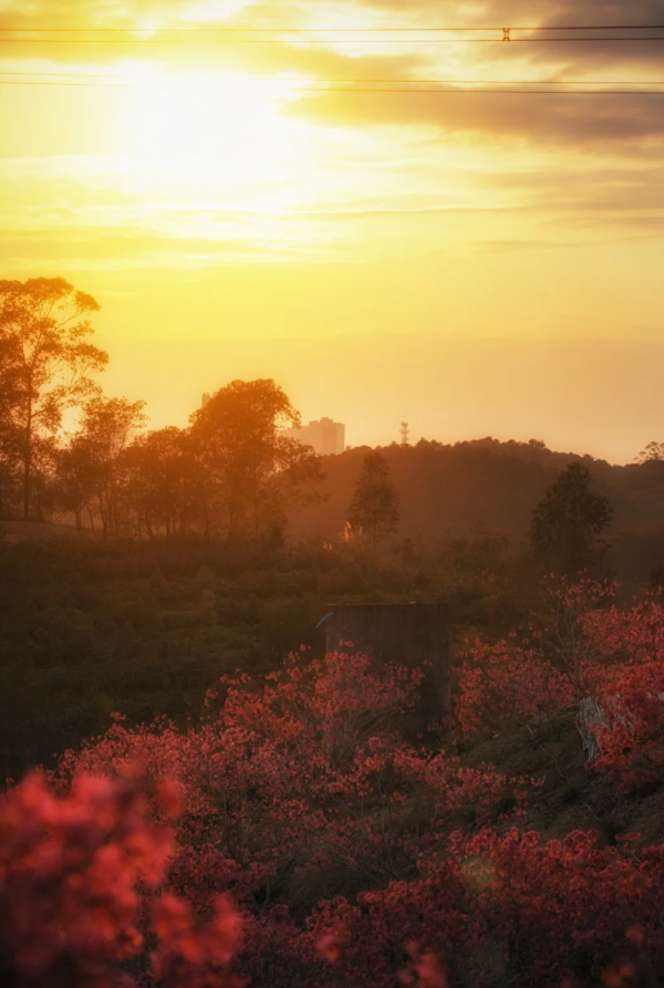 照片來源：小紅書@周朝先