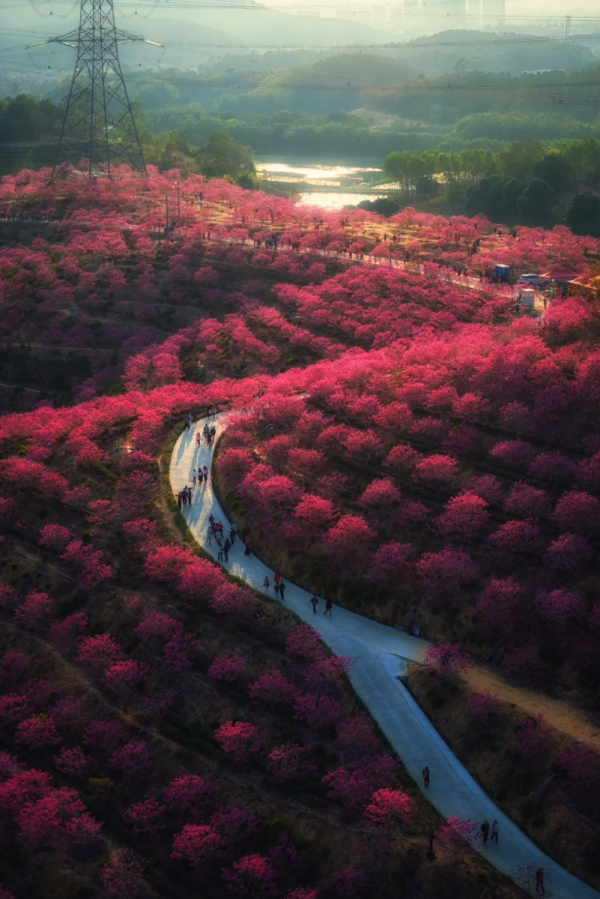 照片來源：小紅書@周朝先