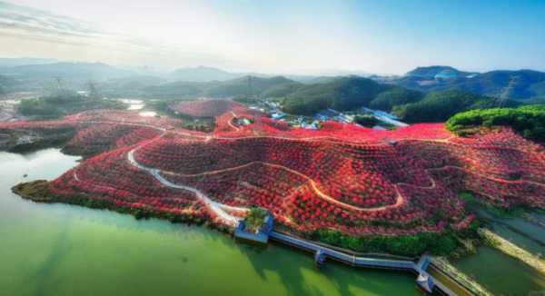 照片來源：小紅書@周朝先