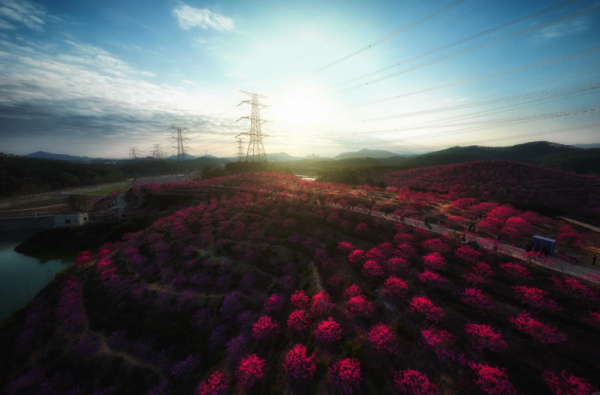 照片來源：小紅書@周朝先