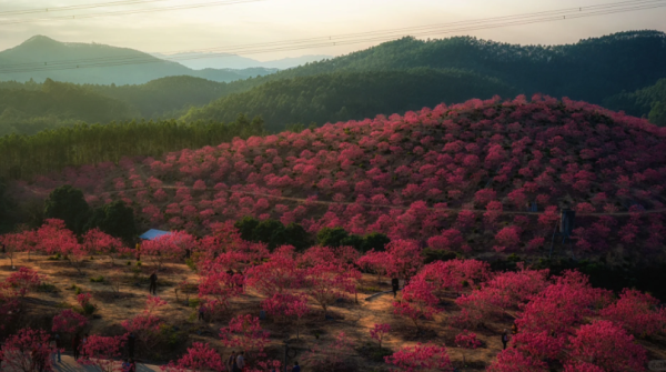 照片來源：小紅書@周朝先