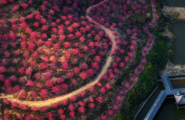 照片來源：小紅書@周朝先