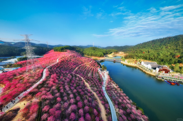 照片來源：小紅書@周朝先