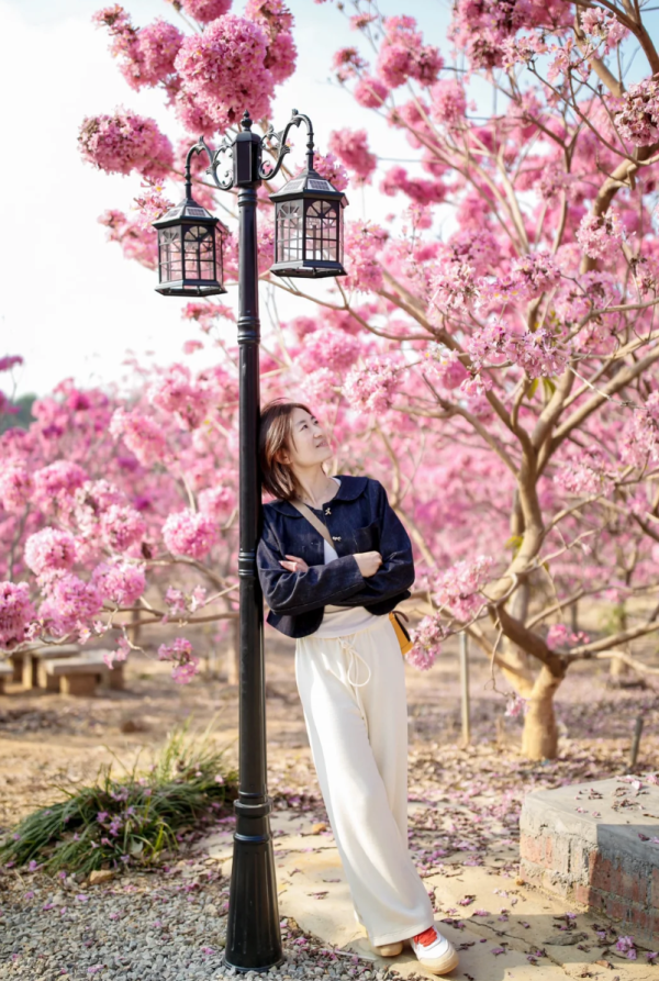 照片來源：小紅書@愛攝影的寶爸