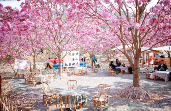 照片來源：小紅書@愛攝影的寶爸