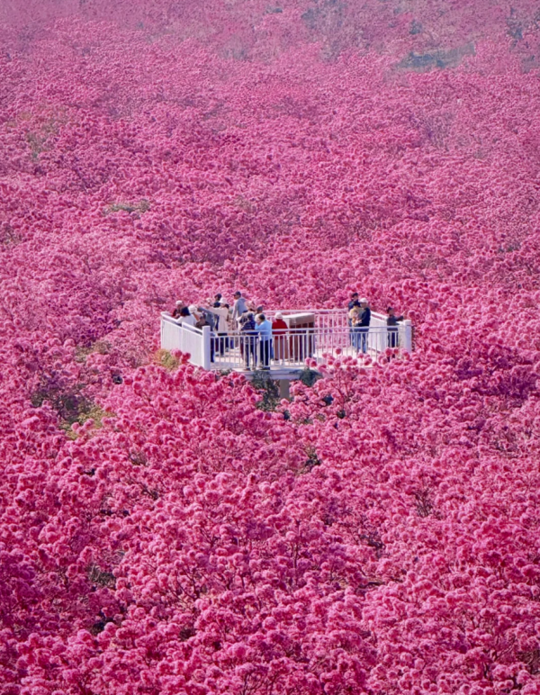 照片來源：小紅書@曾不錯John