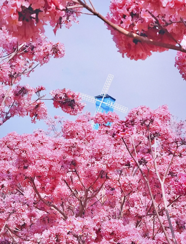 照片來源：小紅書@曾不錯John