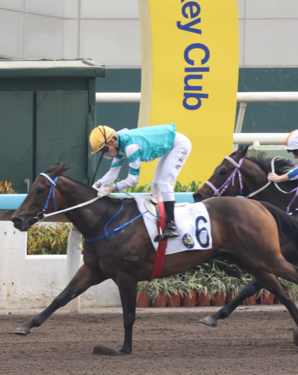 前TVB主播與視后閨蜜現身馬場拉頭馬 嫁會計師馬主升呢闊太獲激讚凍齡依舊