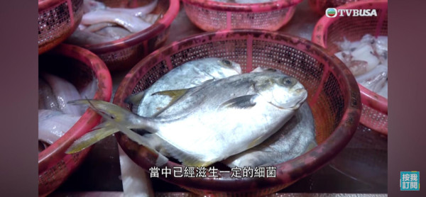 題>> 後續更新！慈雲山伯伯賣「垃圾魚」哽咽揭背後苦衷！真相極荒謬：就算唔賣都會繼續執