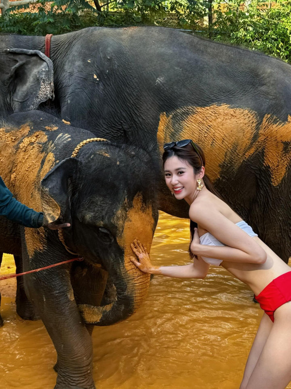 港姐季軍布吉度假晒性感泳衣照 過萬蚊名牌比堅尼不及超模身材吸睛