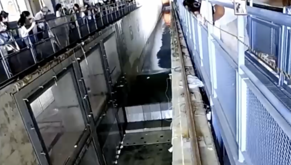 日本地震｜1 米海嘯威力有幾大？「水牆」影片瘋傳 殺傷力驚人