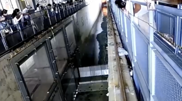 日本地震｜1 米海嘯威力有幾大？「水牆」影片瘋傳 殺傷力驚人