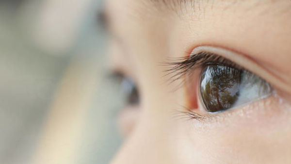 圖片來源:HKET圖庫