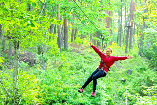 東京森友會:神奈川4大景點!尖叫狂玩空中飛索/森林狂野時速/走進博物館/神社感受靈氣