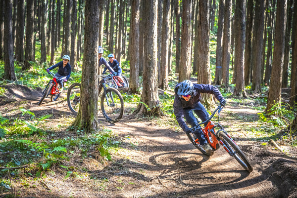 東京森友會:神奈川4大景點!尖叫狂玩空中飛索/森林狂野時速/走進博物館/神社感受靈氣