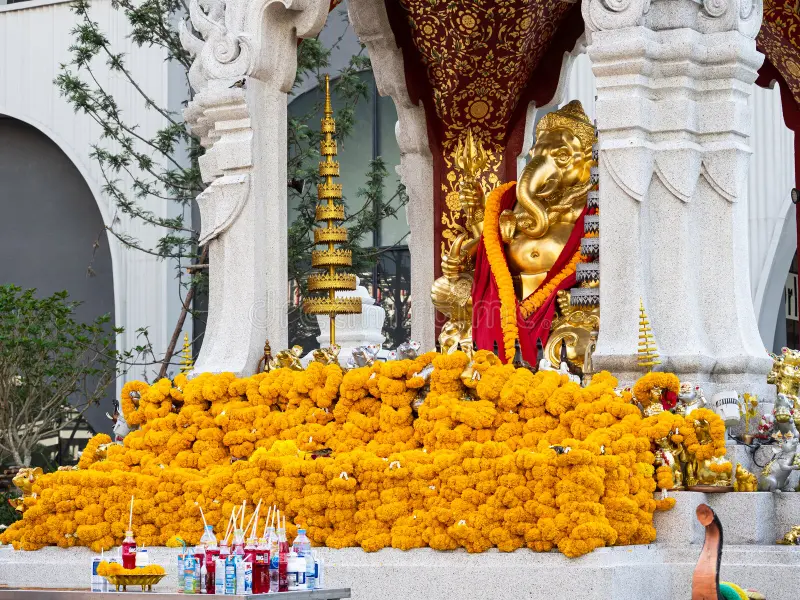 亞洲4大求財靈廟｜中六合彩頭獎靠「洗」出嚟？日本合法洗錢求發財+參拜流程 