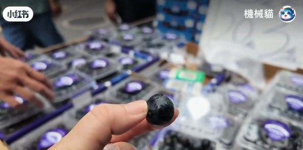 照片來源:小紅書@香港機械貓 照片來源:小紅書@香港機械貓