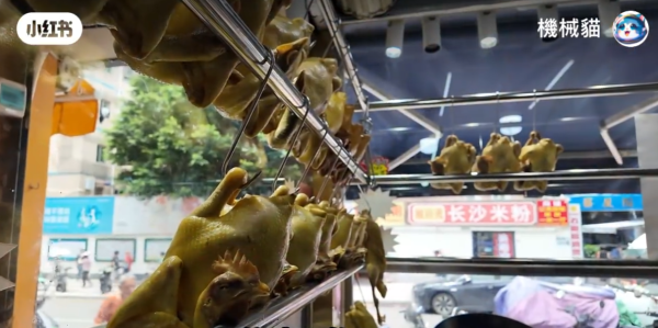 照片來源:小紅書@香港機械貓 照片來源:小紅書@香港機械貓