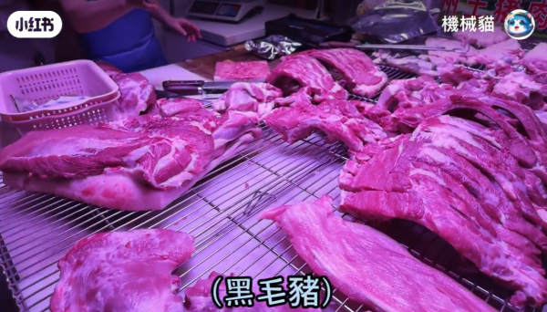 照片來源:小紅書@香港機械貓 照片來源:小紅書@香港機械貓