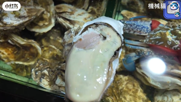 照片來源:小紅書@香港機械貓 照片來源:小紅書@香港機械貓