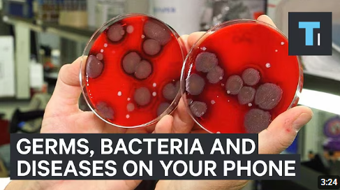 手機細菌量達馬桶座10倍!亂用酒精抹Mon如「自毀屏幕」Apple教2招正確清潔