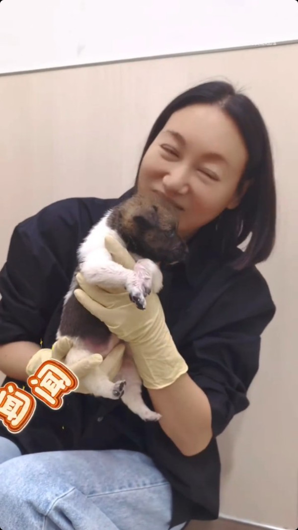 65歲惠英紅驚爆震撼彈無預警宣布喜訊 突然發文做媽媽：跟大家分享我的大事