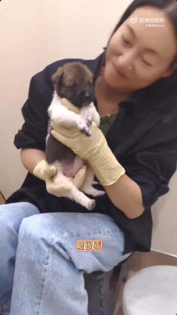 65歲惠英紅驚爆震撼彈無預警宣布喜訊 突然發文做媽媽：跟大家分享我的大事