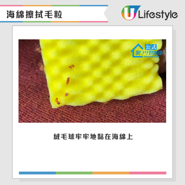 冷衫縮水變童裝？日本專家教用「護髮素」3步神還原 起毛粒靠1塊海綿KO