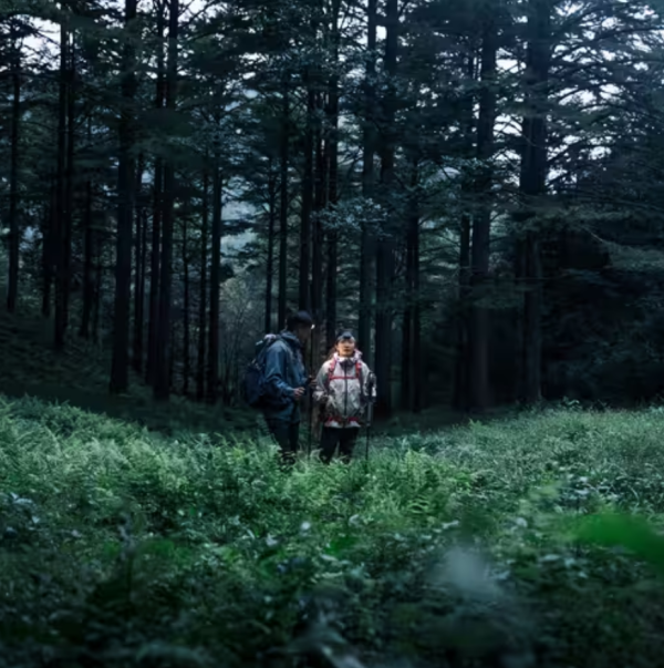 照片來源:Decathlon 官方網站 照片來源:Decathlon 官方網站